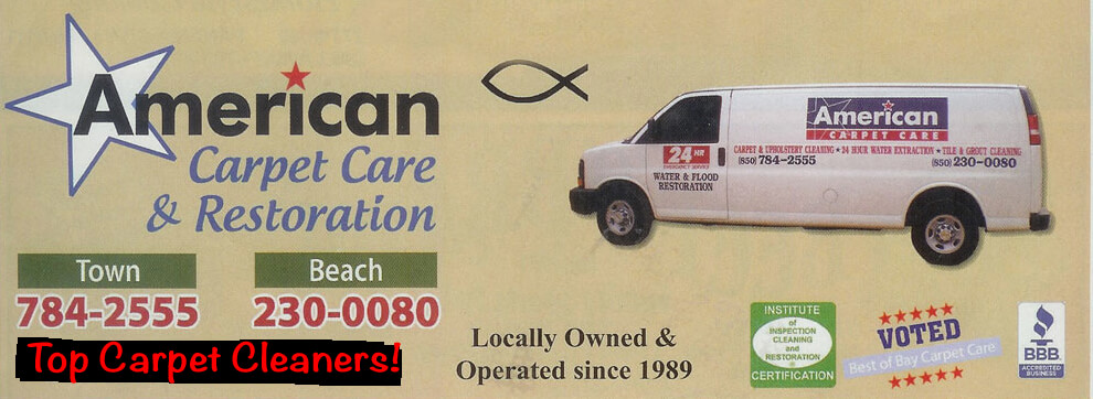 carpet and upholstery care bay county fl
