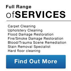 Full range of Carpet and Upholstery Services